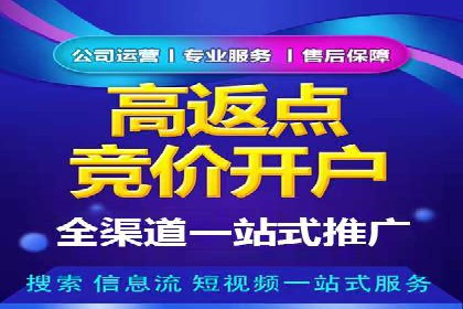 SEM广告投放案例：提升网站流量与转化